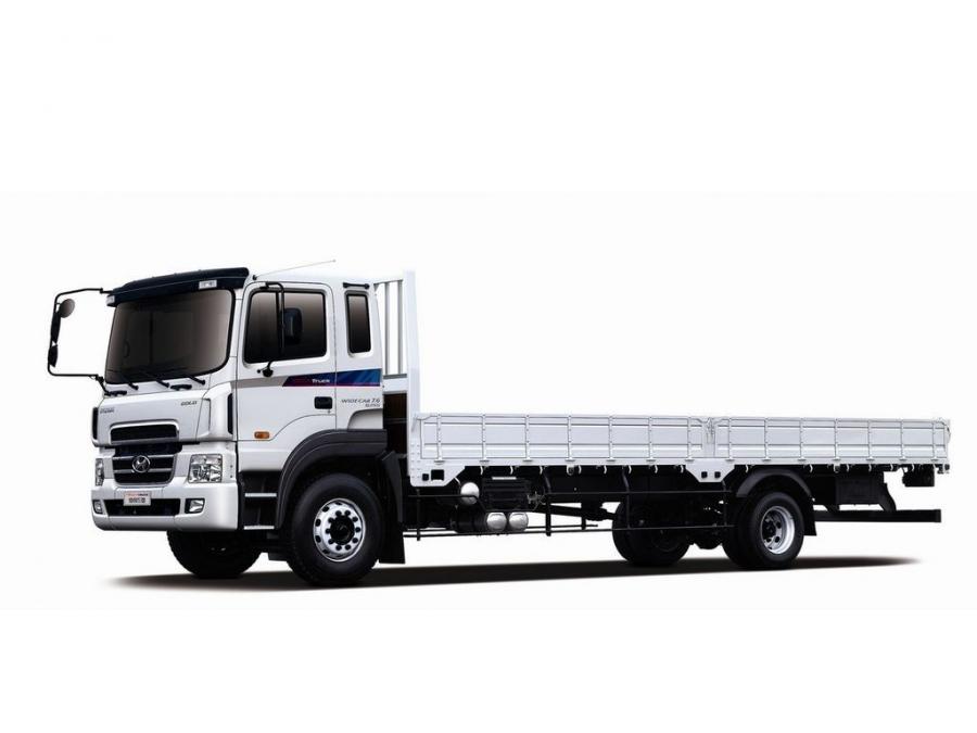  Hyundai MegaTruck Widecab 2009 года  (фото 1 из 1)